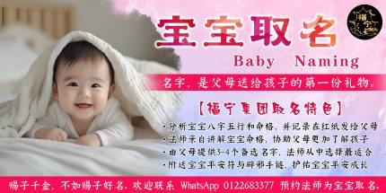 宝宝取名服务